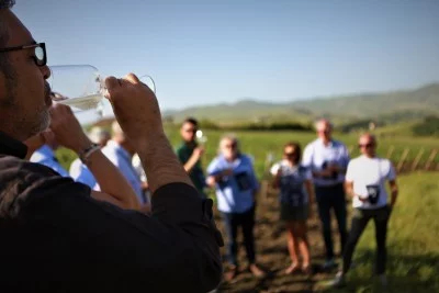 Thumbnail Tour and tasting of natural wines immersed in the Sicilian countryside