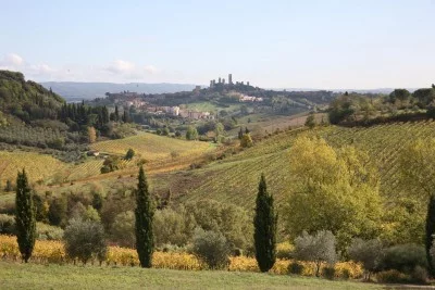 Thumbnail Sensorial wine experience immersed in the territory of San Gimignano