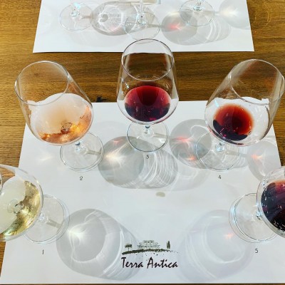 Thumbnail Premium Tasting experience at Terra Antica winery