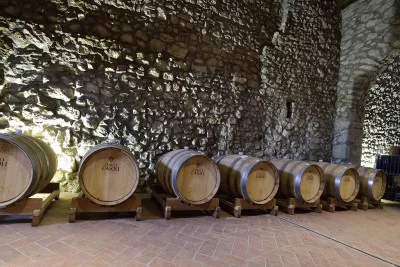 Thumbnail Cata de vinos superiores en Tenute Casoli