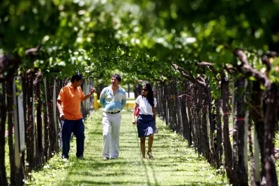 Thumbnail Private Half Day wine tour from Mendoza