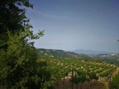 Thumbnail Nemea Wine Tour with Winemakers