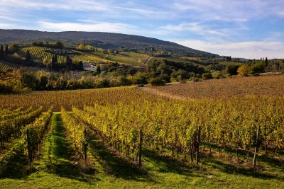 Thumbnail cata de vinos "Dulcis in Fundo" en la bodega Palagetto