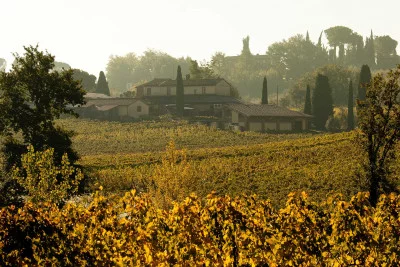 Thumbnail Cata de vinos clásicos y visita a Poderi Boscarelli en Montepulciano