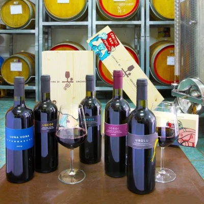 Thumbnail Cata de vinos superiores en Cantine di Orgosolo