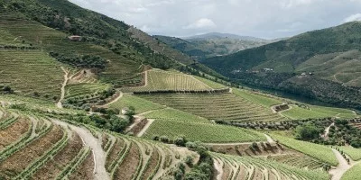 Thumbnail A day at Gricha Estate in the Douro Valley