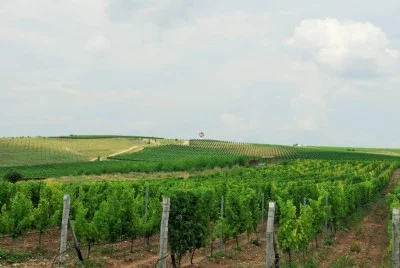 Thumbnail Your Bulgarian Wine and food adventure