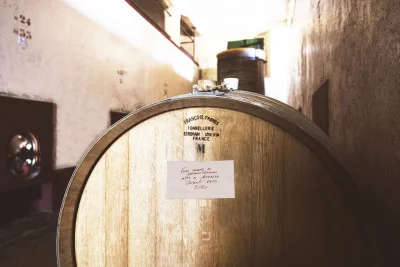 Thumbnail Degustación de vino y aceite de oliva en la Fattoria Montereggi