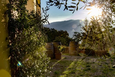 Thumbnail for Grand plateau toscan, visite de la cave et dégustation de vin à Panzanello