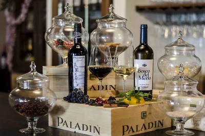 Thumbnail Sensory wine tasting at Casa Paladin