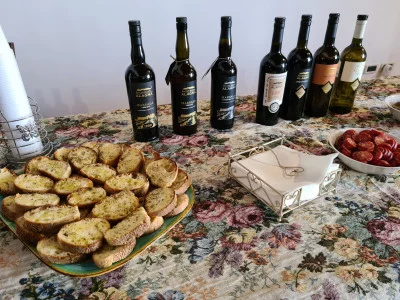 Thumbnail Wine tasting experience in Marsala at Alagna Vini