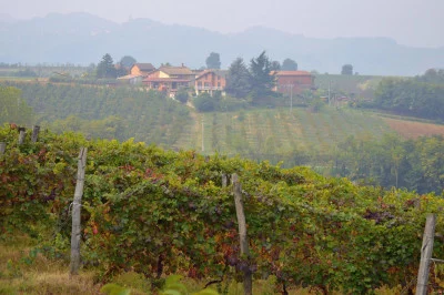 Thumbnail Discover Colli Tortonesi: visit and tasting at Cantine Colonna
