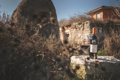 Thumbnail Wine Experience: Entre Ribera y Bierzo en Bodegas Emilio Moro