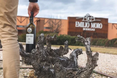Thumbnail Wine experience: Degusta La Ribera en Bodegas Emilio Moro