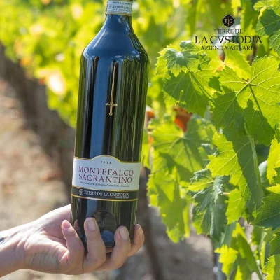 Thumbnail Wine experience en el corazón del distrito de Montefalco