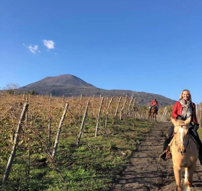 Thumbnail Horseback riding in the vineyard
