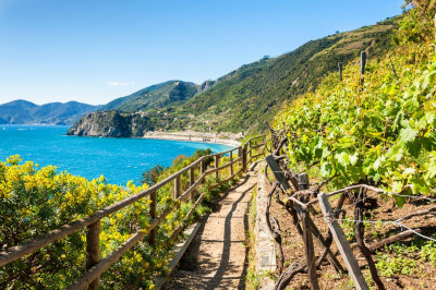 Thumbnail Cinque Terre Private Hiking & Wine Tour with Winedering