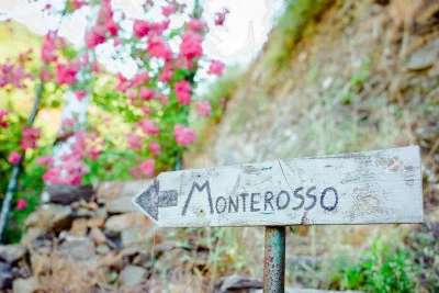Thumbnail Cinque Terre Tour Privado de Senderismo y Vino con Winedering