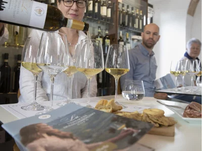 Thumbnail Easy Wine Tasting at the Vernaccia di San Gimignano Wine Consortium