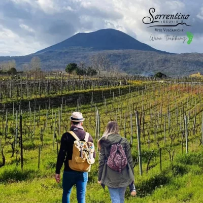 Thumbnail for 79 AD Trekking and Wine Tasting at Sorrentino Vini on the Vesuvius