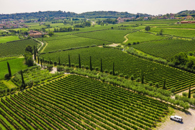 Thumbnail Franciacorta & Monte Isola from Milan: wine, culture and nature!