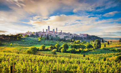 Thumbnail Winedering Private Gourmet Wine Tour in Tuscany