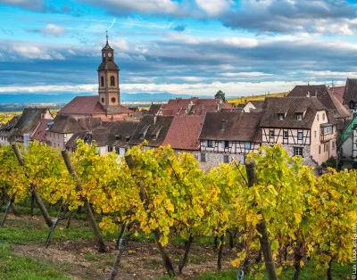 Thumbnail Ruta del vino en grupo reducido por Alsacia desde Estrasburgo