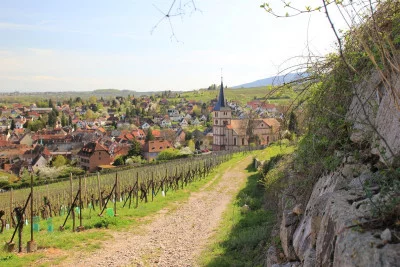 Thumbnail Exklusive private Elsass-Wein-Tagestour ab Straßburg