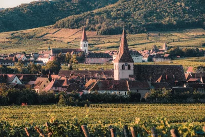 Thumbnail Excursión privada exclusiva de un día por los vinos de Alsacia desde Estrasburgo