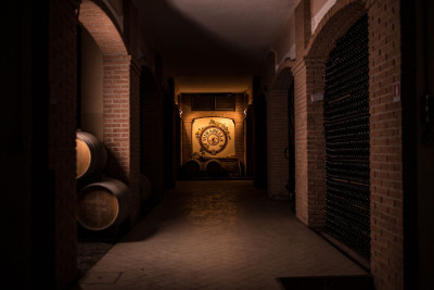 Thumbnail Demetra Tour: Franciacorta Wine Tasting at Mirabella Winery
