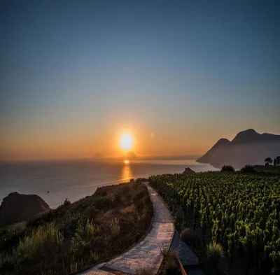 Thumbnail Light Wine Escape at Tenuta Castellaro in Sicily