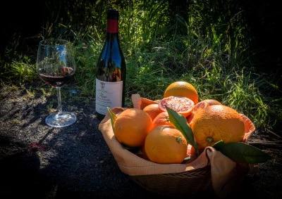 Thumbnail Saborea el Etna entre sus cítricos: Degustación de vinos en la plantación de cítricos de Tenuta del Gelso