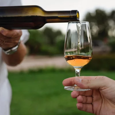 Thumbnail From vineyard to wine: Wine Tasting at Tenuta Poggio Rosso