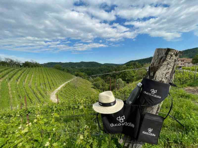 Thumbnail Trekking Wine in Tour sulle colline del Prosecco presso Duca di Dolle