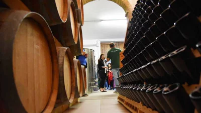 Thumbnail Visit winery and tasting at La Vinarte in Abruzzo