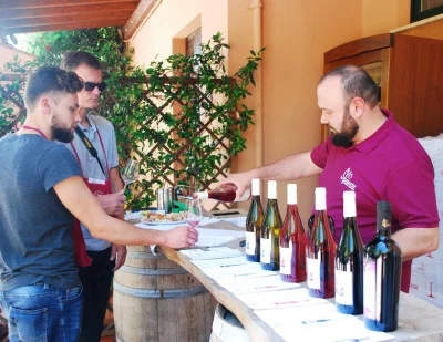 Thumbnail Ruta del vino por la Costa de Trabocchi en La Vinarte