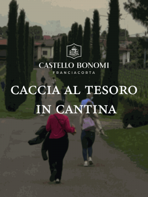 Thumbnail Franciacorta Treasure Hunt at Castello Bonomi