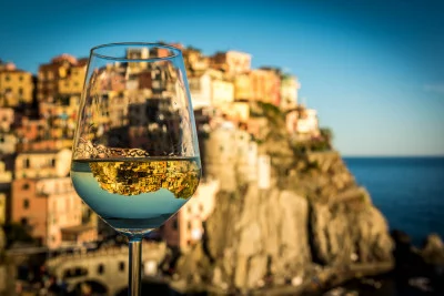 Thumbnail Sensory wine tasting guided by an AIS professional sommelier in Manarola