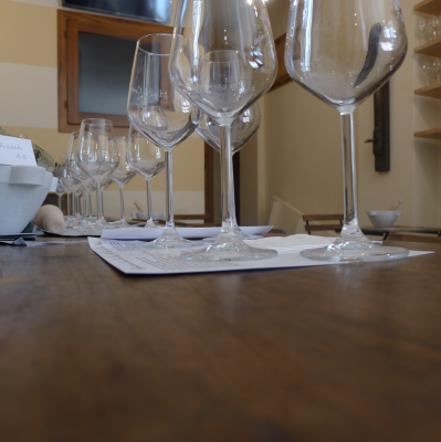 Thumbnail Sensory wine tasting guided by an AIS professional sommelier in Manarola