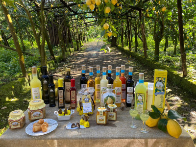 Thumbnail Limoncello Tasting and Lunch amongst the lemons of the Sorrento Peninsula at Il Convento
