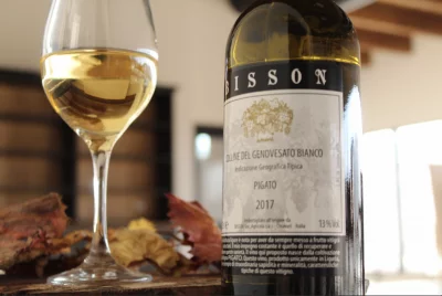 Thumbnail Cata de vinos clásicos en Bisson