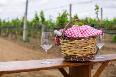 Thumbnail Picnic in the vineyard of Cantina Petrelli in the heart of Salento