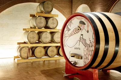 Thumbnail Cata de vinos y visita a los viñedos de Caiaffa Wines