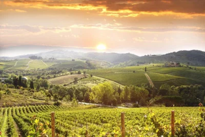 Thumbnail Sunset in Siena & Chianti dinner: Half-day tour from Florence
