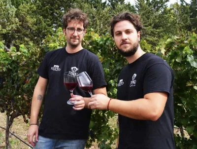 Thumbnail Cata de vinos y visita a Feotto Wine en la campiña de Palermo
