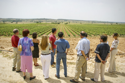 Thumbnail Wine Tour in Ribera del Duero