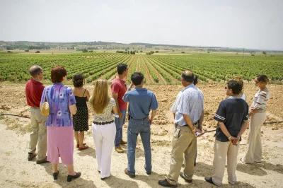 Thumbnail for Circuit viticole à Ribera del Duero