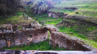 Thumbnail Wine tasting and Lunch among the ancient Roman ruins of Pompeii