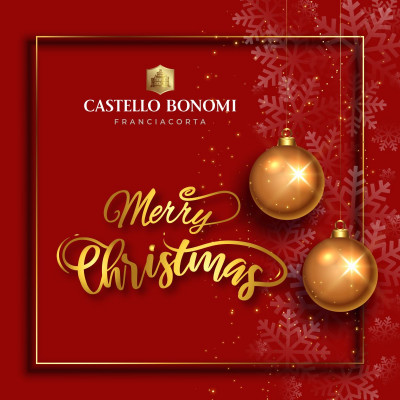 Thumbnail Christmas tour and tasting at Castello Bonomi in Franciacorta