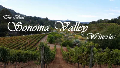 Thumbnail Private Sonoma Valley Wine Tour
